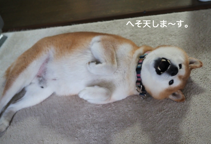 17日夜ブログ２