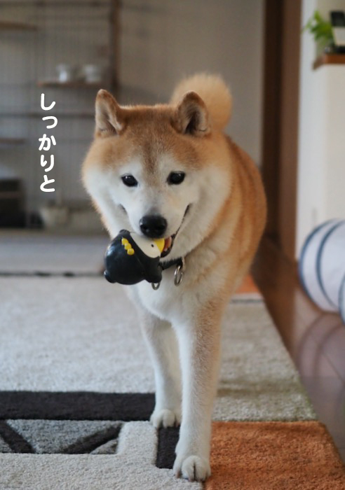 15日ブログ３