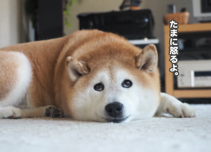 26日夕ブログ５