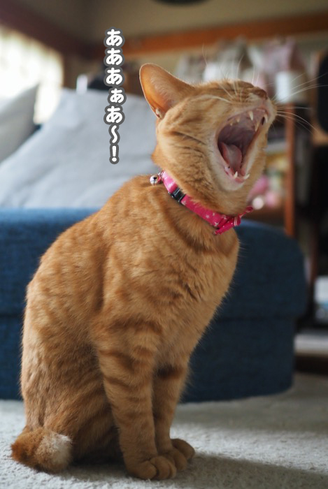 7日朝ブログ６
