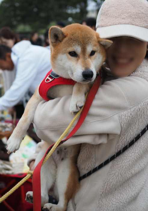 10日夕方のブログ５