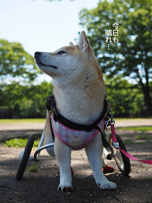 21日夜ブログ４