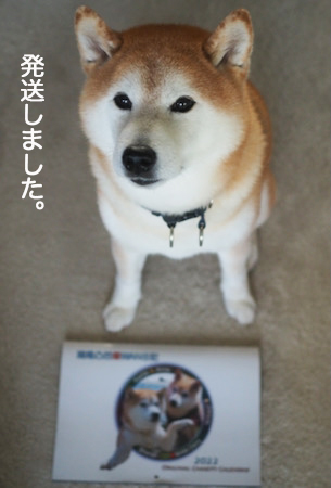 15日夜ブログ５