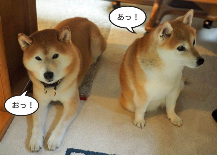 16日夕ブログ８
