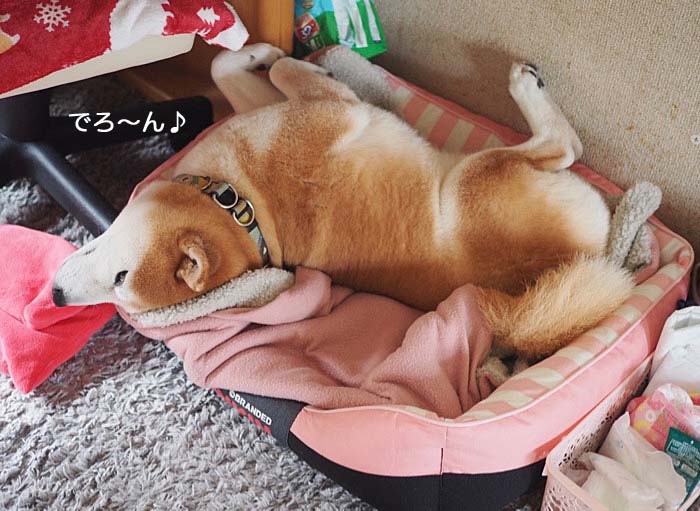 24日夜ブログ３