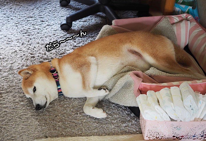 1日夜ブログ2