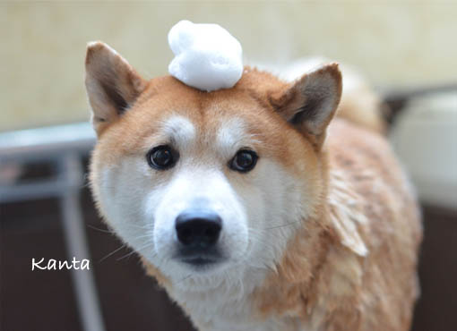 26日ブログ４.jpg