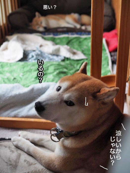 10日ブログ５