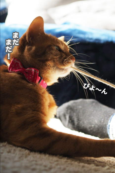9日夜ブログ５