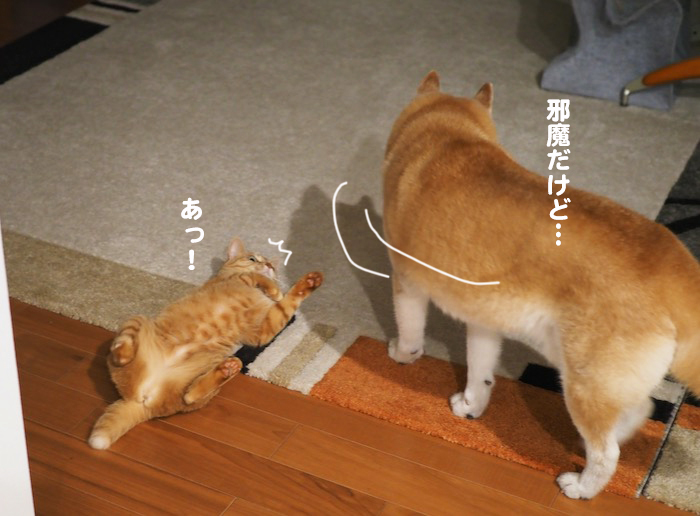 15日夕ブログ６