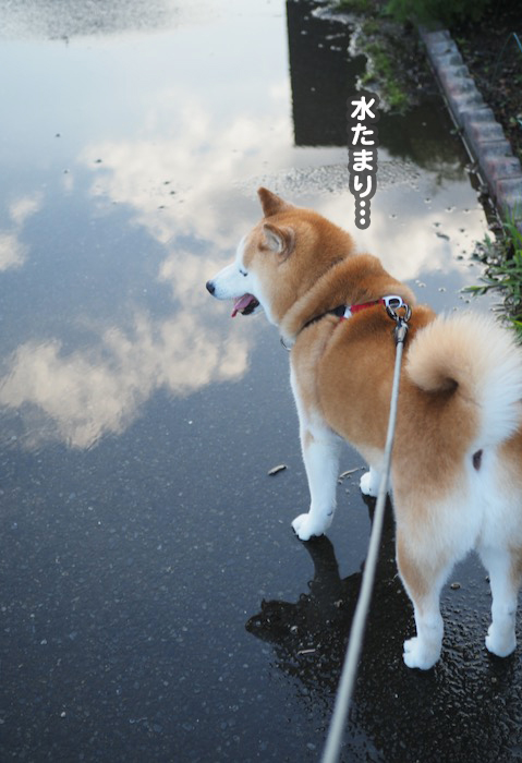 3日夕ブログ２