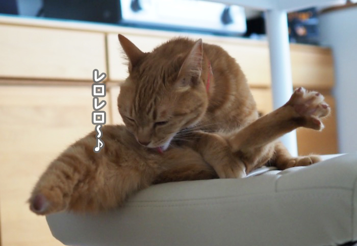 9日夕ブログ４