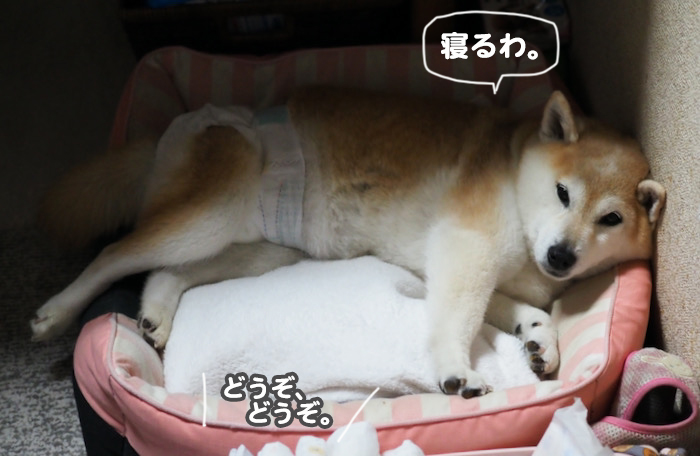 1日夜ブログ７
