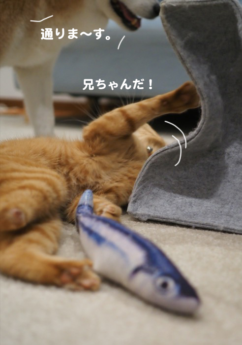 16日夕ブログ４