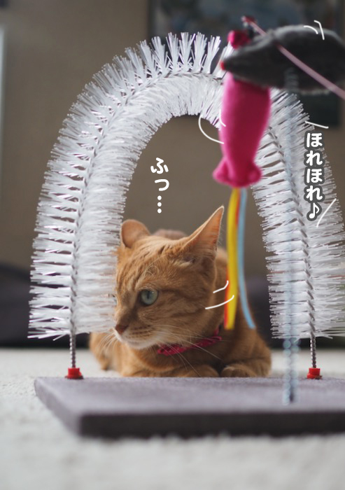 9日夕ブログ１３