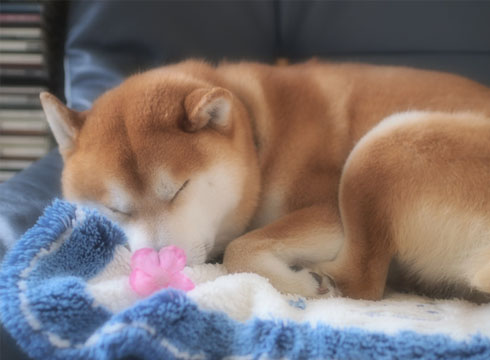 23日ブログ3.jpg