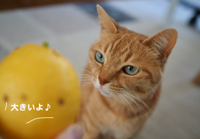 30日ブログ２