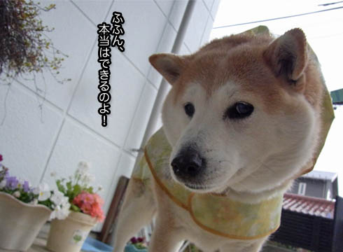 18日ブログ4.jpg