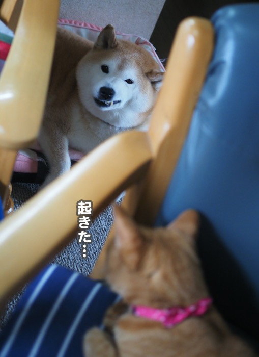 15日夕ブログ３