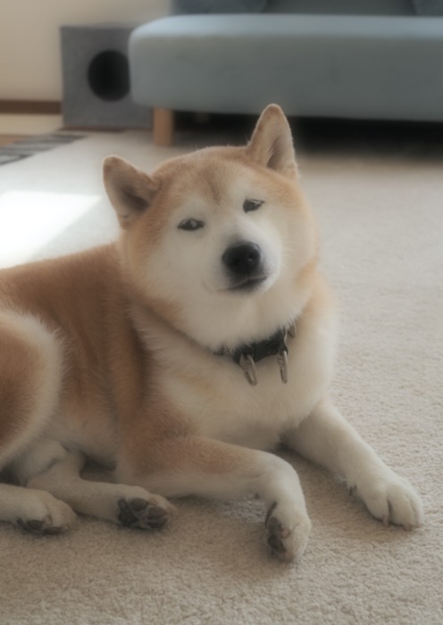 18日午前ブログ２