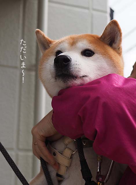 22日追加2
