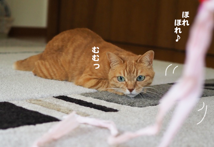16日夕ブログ２
