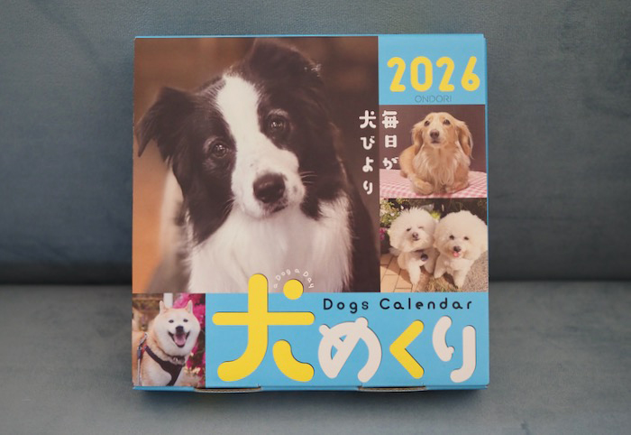 12日夕ブログ５