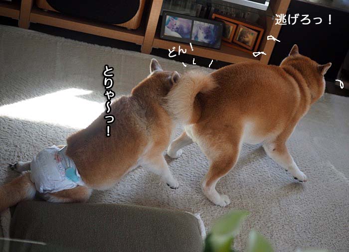 30日夕ブログ９