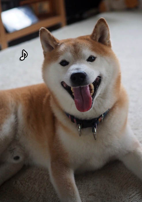 7日夜ブログ４