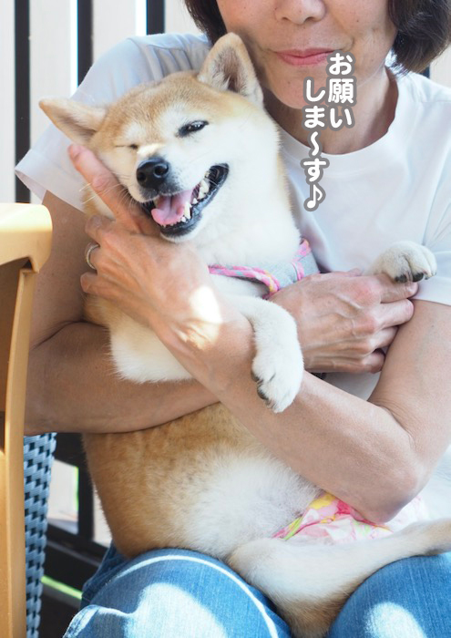 14日夕ブログ８