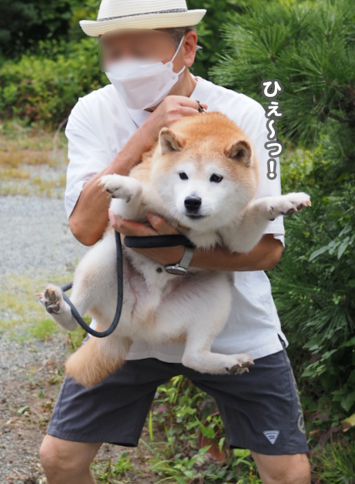 8日ブログ２