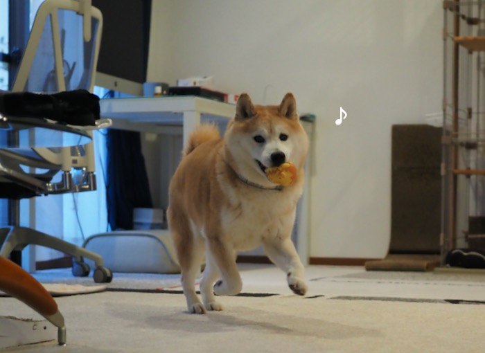 5日夕ブログ８