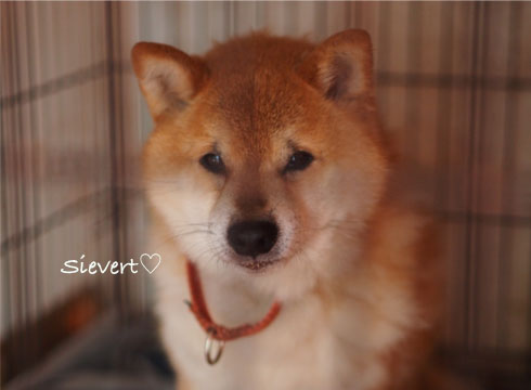 21日ブログ7.jpg
