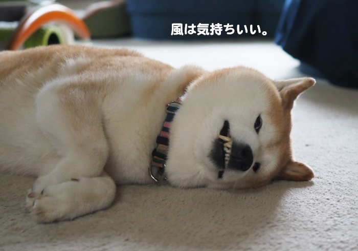 28日ブログ３