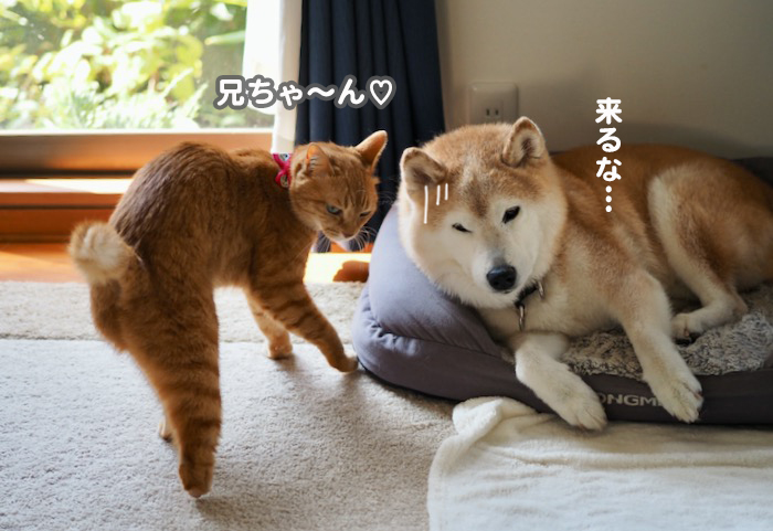 24日夕ブログ２