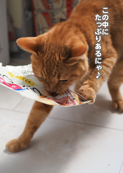 15日夕ブログ８