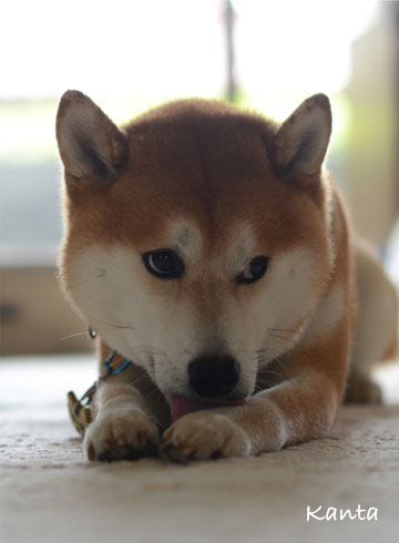 29日ブログ5.jpg