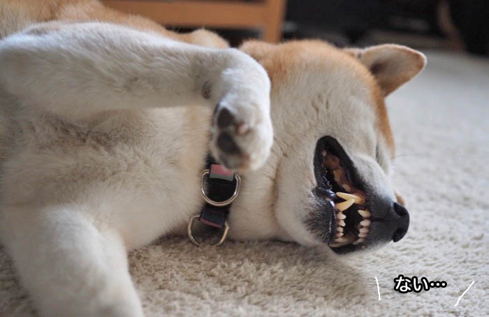 4日ブログ８