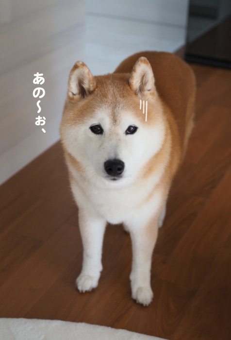 11日ブログ１