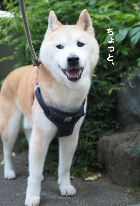 16日ブログ２