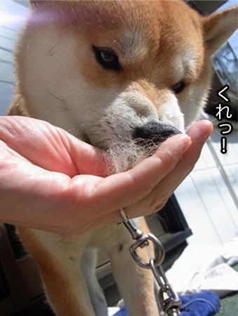 19日ブログ１０.jpg