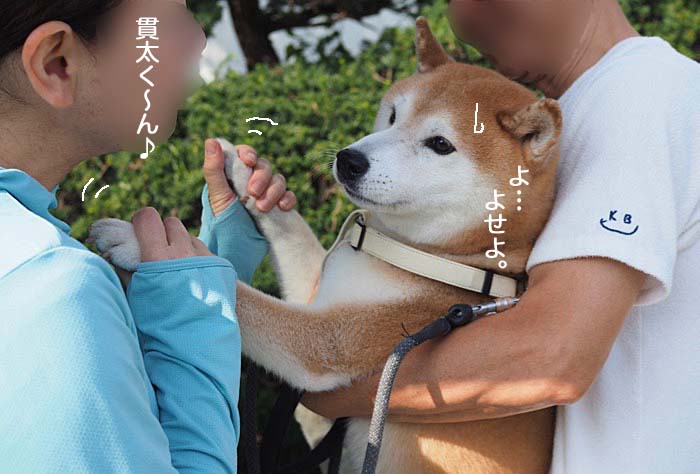 27日ブログ６