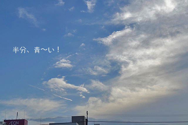 25日午後グログ4