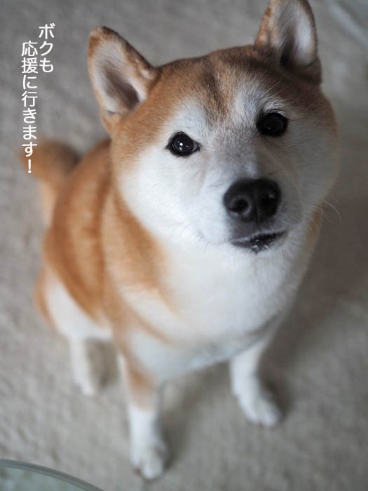 19日ブログ７