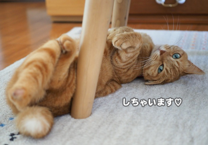 29日夕ブログ８