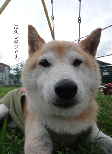 30日ブログ7.jpg