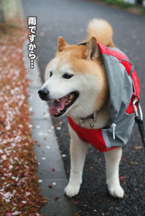 7日夜ブログ２