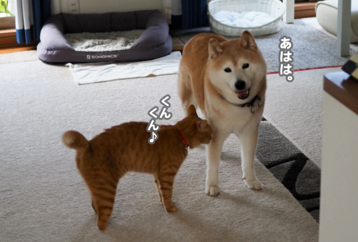 31日夕ブログ２