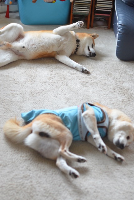 2日ブログ8