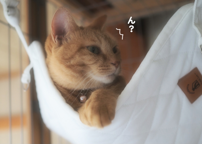 30日夕ブログ３